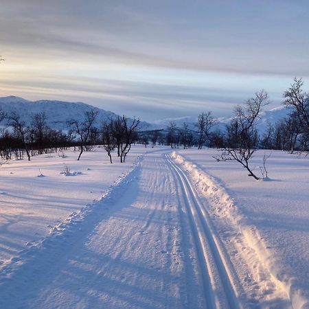 Вилла Karistua Hansnes Экстерьер фото