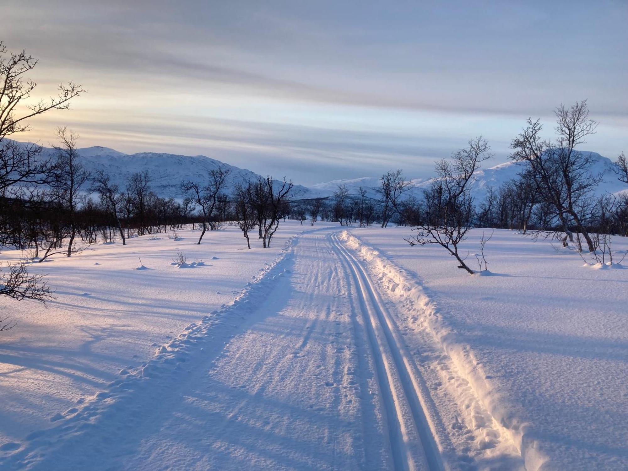 Вилла Karistua Hansnes Экстерьер фото